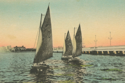Picture of FLORIDA POSTCARD I