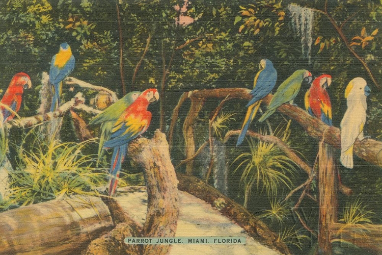Picture of FLORIDA POSTCARD II