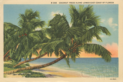 Picture of FLORIDA POSTCARD III