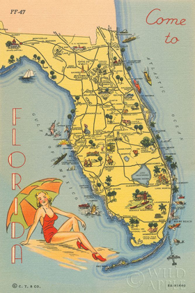 Picture of FLORIDA POSTCARD VI