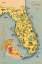 Picture of FLORIDA POSTCARD VI