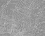 Picture of CUSTOM GREY MAP OF NEW YORK