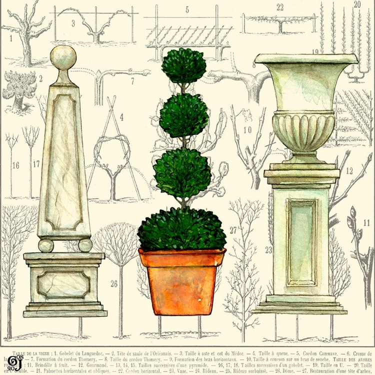Picture of GARDEN TOPIARY