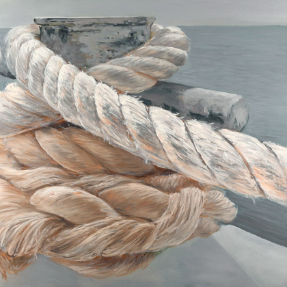 Picture of TIE-DOWN ROPES CLOSEUP