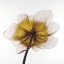 Picture of BEAUTIFUL ANEMONE YELLOW FLOWER