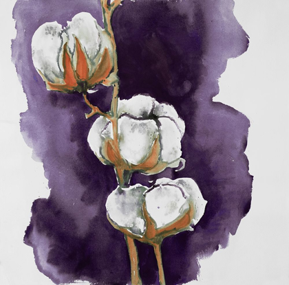 Picture of WATERCOLOR PURPLE COTTON FLOWERS