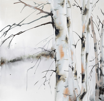 Picture of BIRCH TREES