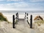 Picture of PLAGE