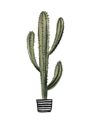 Picture of CACTUS 3