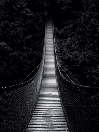 Picture of BRIDGE FOR NOWHERE