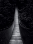 Picture of BRIDGE FOR NOWHERE