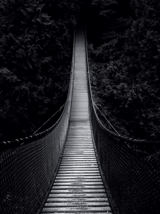 Picture of BRIDGE FOR NOWHERE
