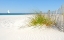 Picture of PLAGE V