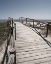 Picture of PLAGE 8