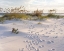 Picture of PLAGE 11