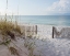 Picture of PLAGE 12