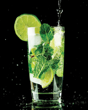 Picture of MOJITO 3