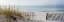 Picture of PLAGE 12