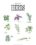 Picture of HERBS