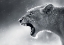 Picture of LIONNE