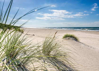 Picture of PLAGE 13