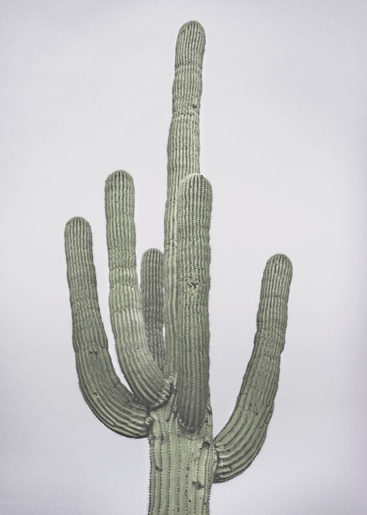 Picture of CACTUS TOTEM