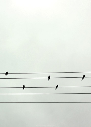 Picture of GUITAR BIRDS