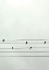 Picture of GUITAR BIRDS