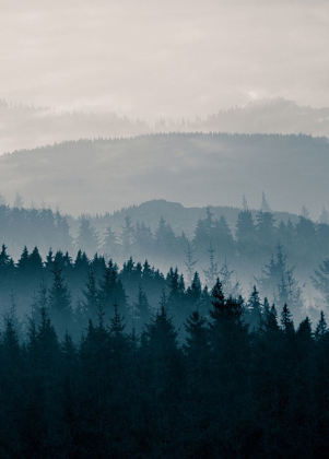 Picture of GREY MOUNTAINS