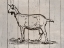 Picture of GOAT
