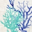 Picture of LINEN CORAL 2