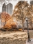 Picture of CENTRAL PARK IN AUTUMN-MANHATTAN-NEW YORK