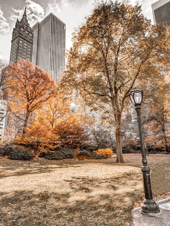 Picture of CENTRAL PARK IN AUTUMN-MANHATTAN-NEW YORK