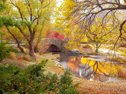 Picture of GAPSTOW BRIDGE IN AUTUMN-CENTRAL PARK-NEW YORK CITY
