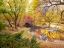 Picture of GAPSTOW BRIDGE IN AUTUMN-CENTRAL PARK-NEW YORK CITY