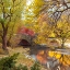 Picture of GAPSTOW BRIDGE IN AUTUMN-CENTRAL PARK-NEW YORK CITY