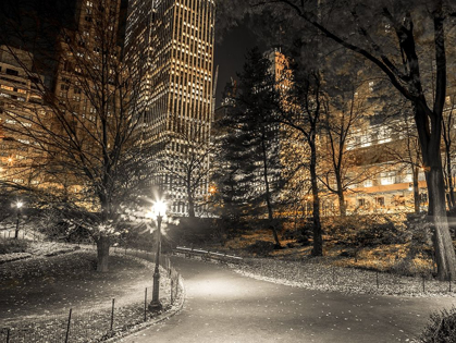 Picture of EVENING VIEW OF CENTRAL PARK IN NEW YORK CITY