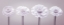 Picture of FOUR ZINNIA FLOWERS IN A ROW