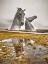 Picture of THE KELPIES HORSE STATUE AT THE HELIX PARK IN FALKIRK -SCOTLAND