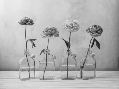 Picture of PEONIES IN GLASS BOTTLES