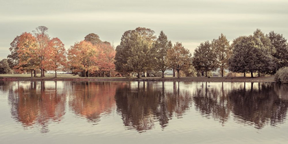 Picture of REFLECTION OF AUTUMN TREES IN A STILL LAKE.