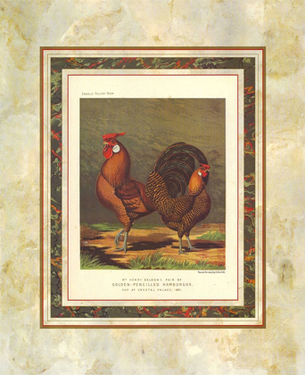 Picture of GOLDEN PENCILLED HAMBURGHS, CASSELLS POULTRY BOOK