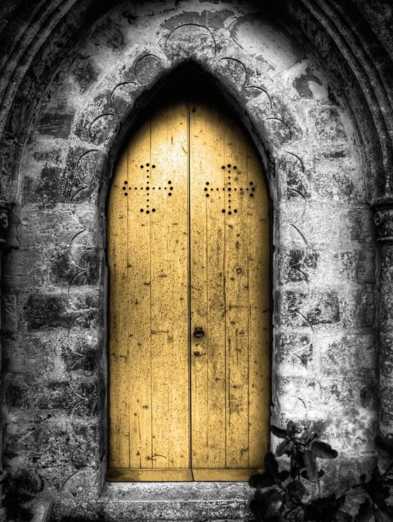 Picture of GOLDEN DOOR