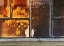 Picture of YELLOW FLOWERS IN WINDOW VASE