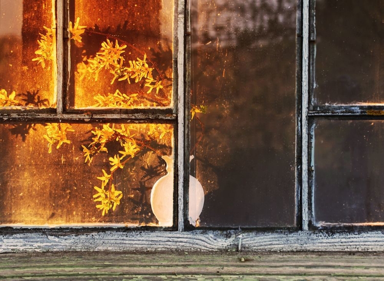 Picture of YELLOW FLOWERS IN WINDOW VASE