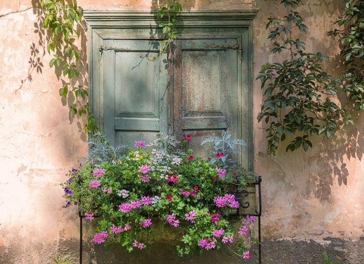 Picture of RETRO WINDOW AND FLOWERS