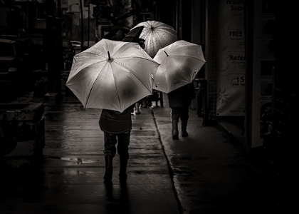 Picture of JUST WALKING IN THE RAIN