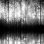 Picture of FOREST MIST