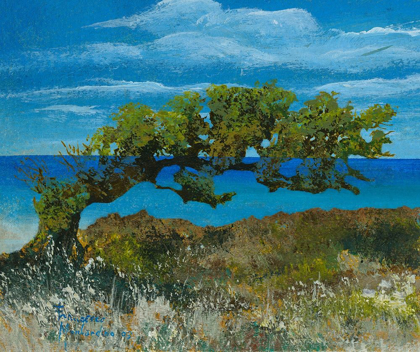 Picture of BENT JUNIPER TREE AND BLUE SEA