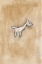 Picture of WHITE PUPPY LAPDOG ON BEIGE BACKGROUND
